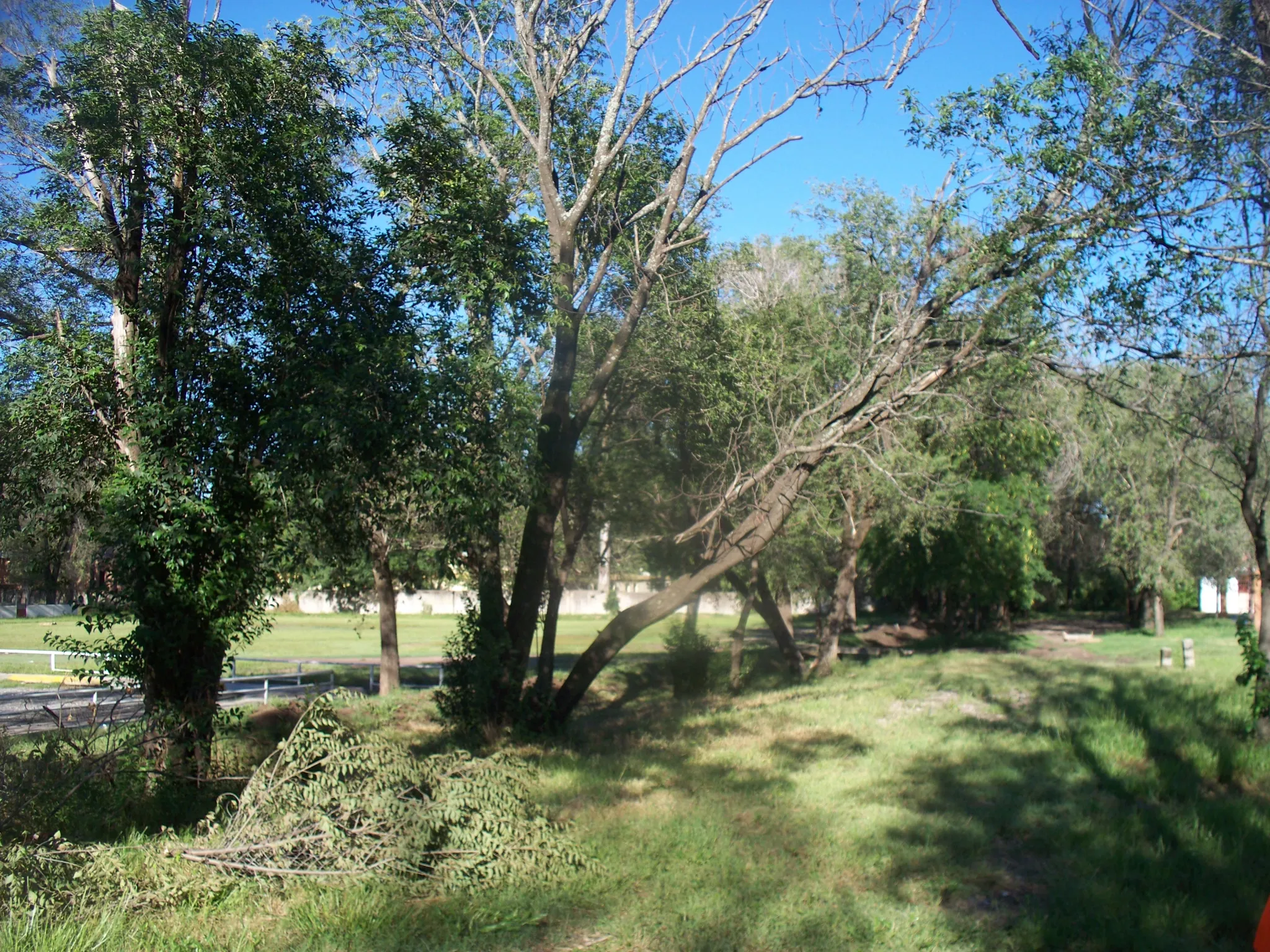Obra 3